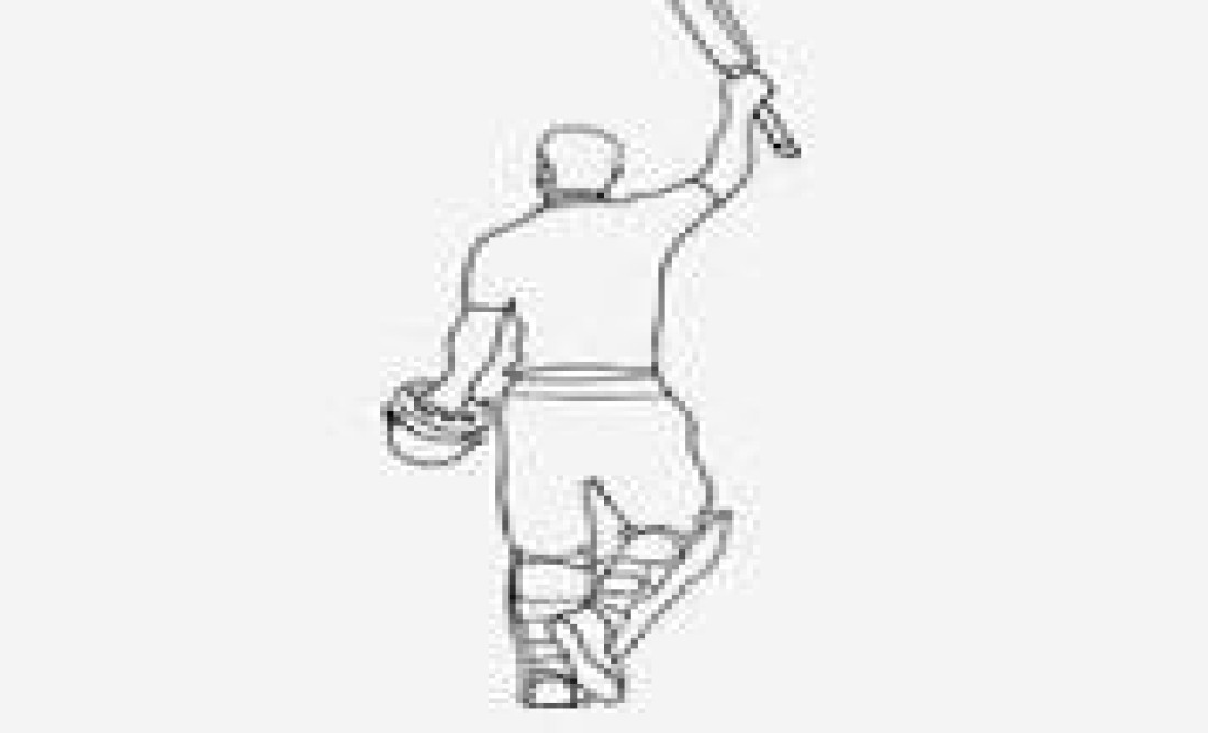 cricketor