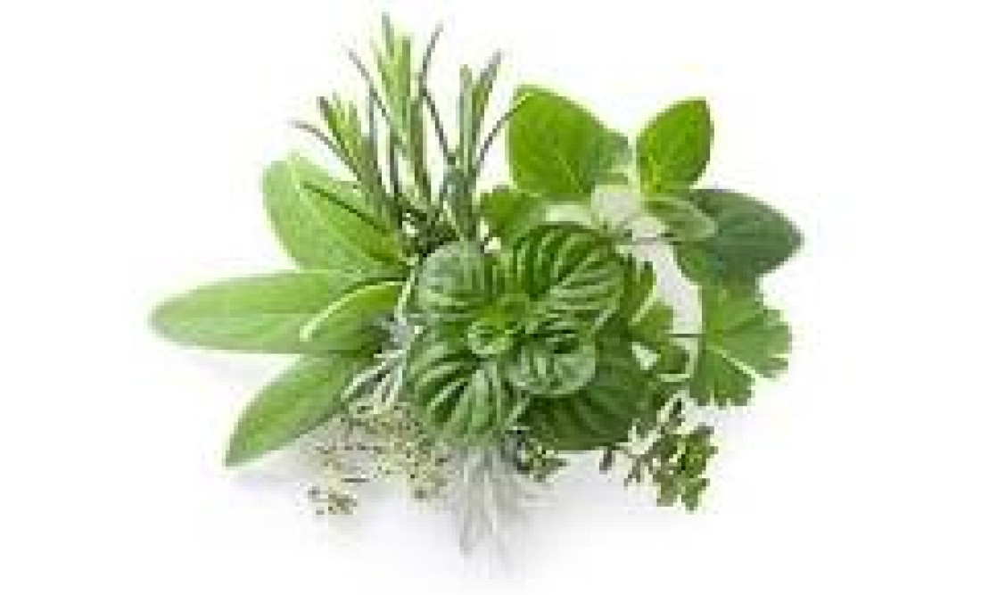 herbs