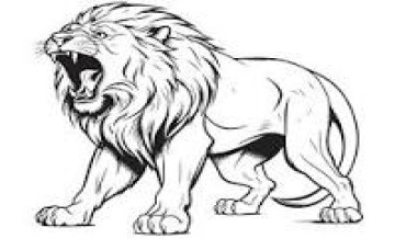 lion
