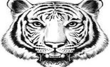 tiger