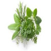 herbs