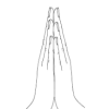 namaskar